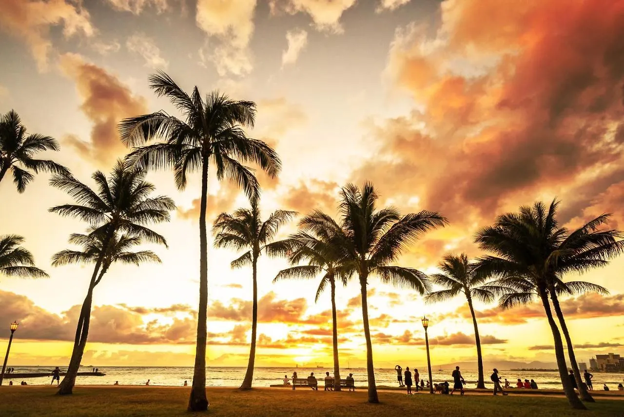 公寓 Cozy Hawaiian Monarch Condo 檀香山